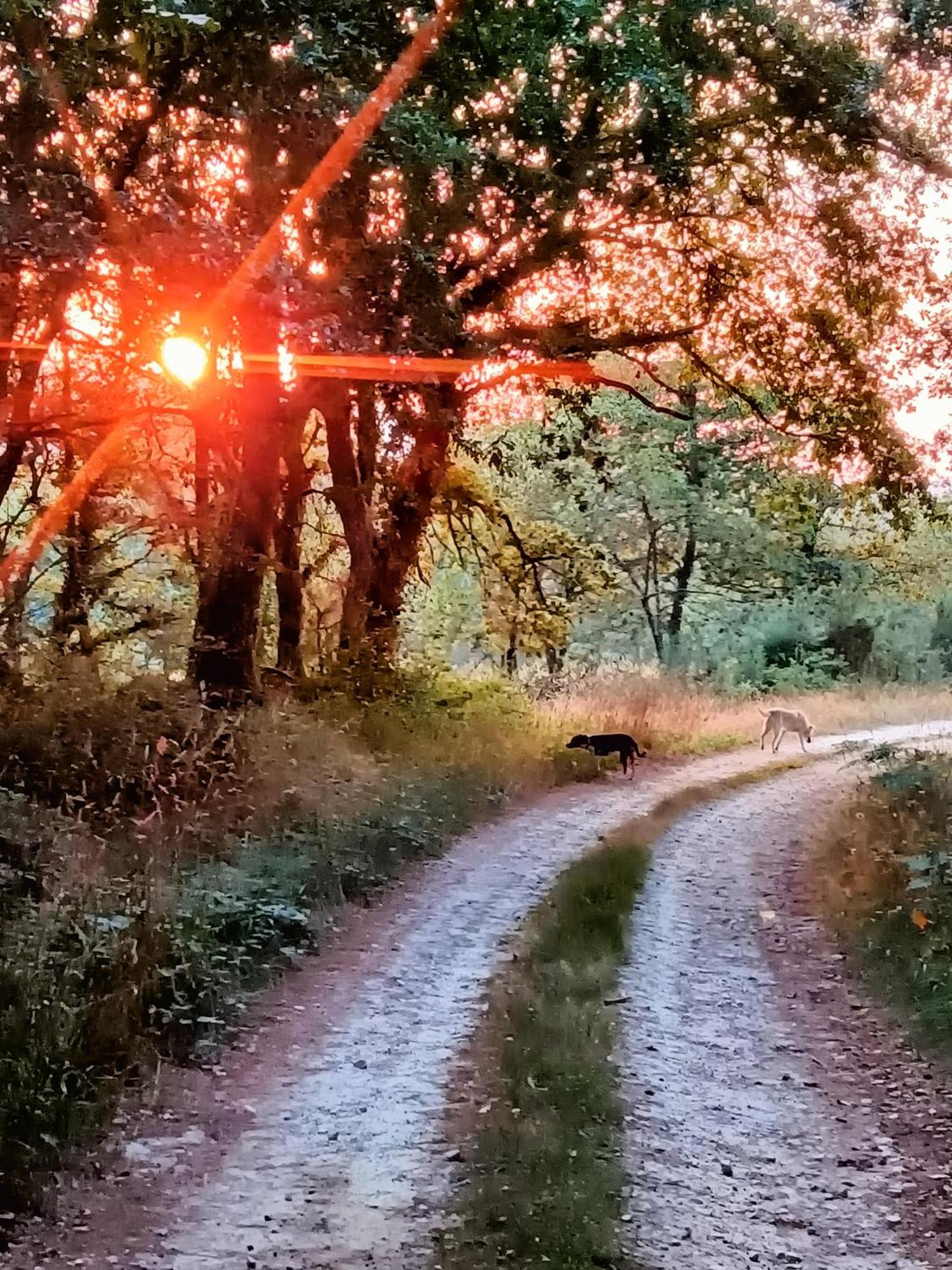La Casita Βίλα Lugo Εξωτερικό φωτογραφία